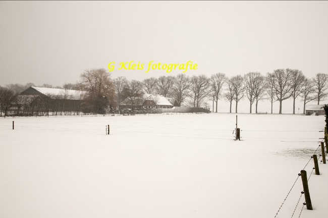Winter-2020-2021-001