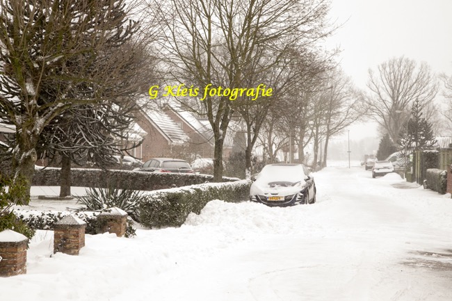 Winter 2020-2021-002
