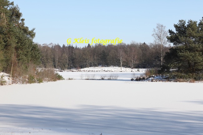 Winter 2020-2021-003